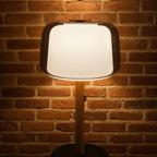 Aura Desk Lamp - Luminor Arc