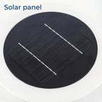 Sentinel - Luminor Arc