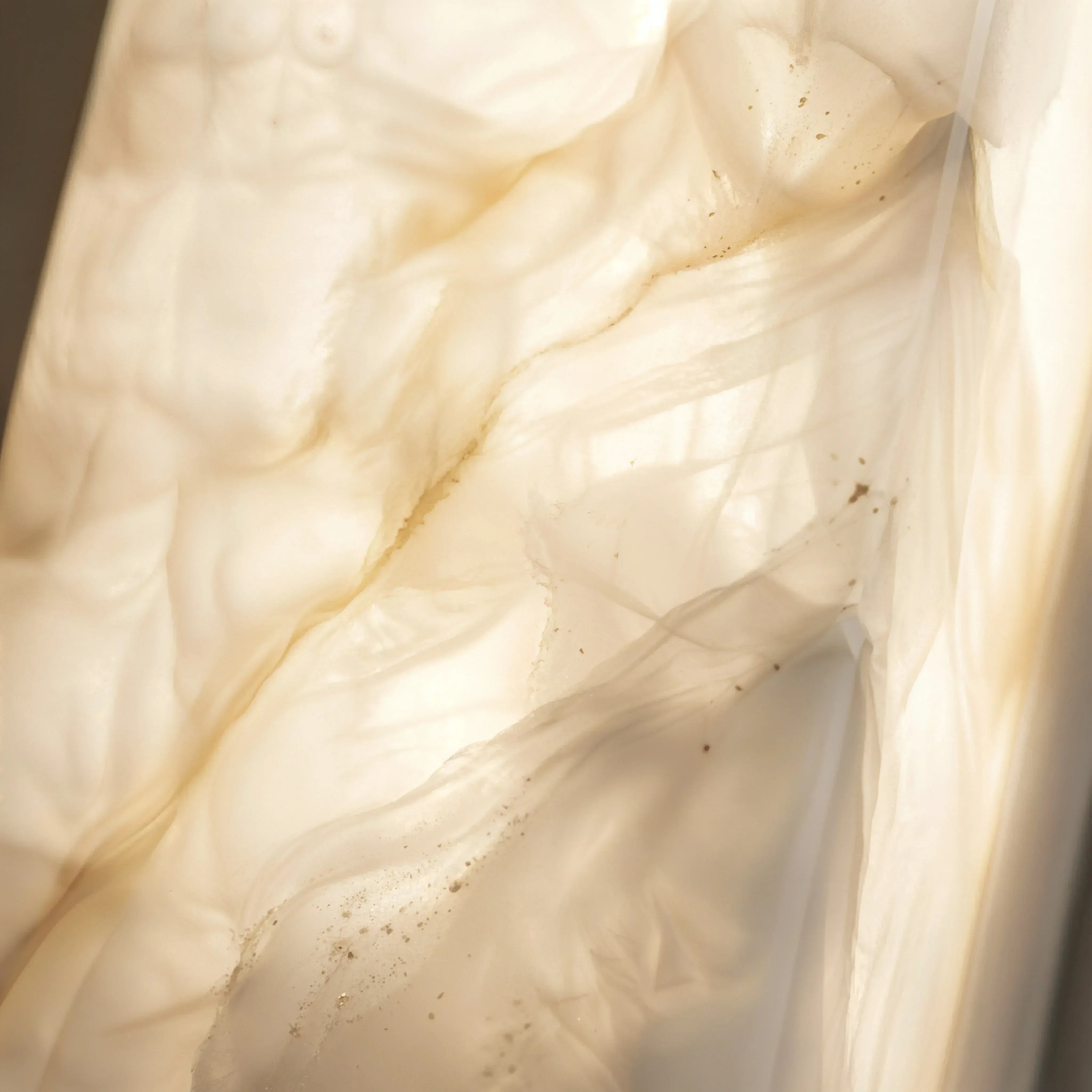 Petra Capsule - Luminor Arc